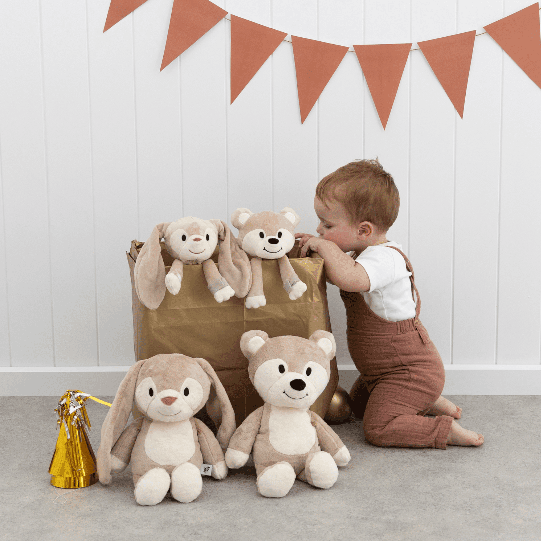Big Bestie - Biscuit the Bear - Riff Raff Baby UK