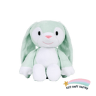 Big Bestie - Minty the Bunny