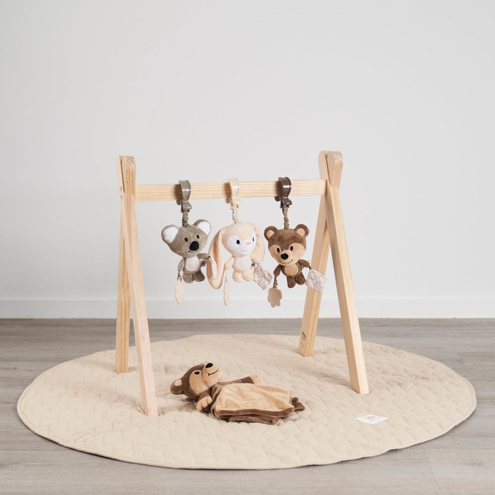 
                      
                        Sensory Pram Toy - Kirra The Koala - Riff Raff Baby UK
                      
                    