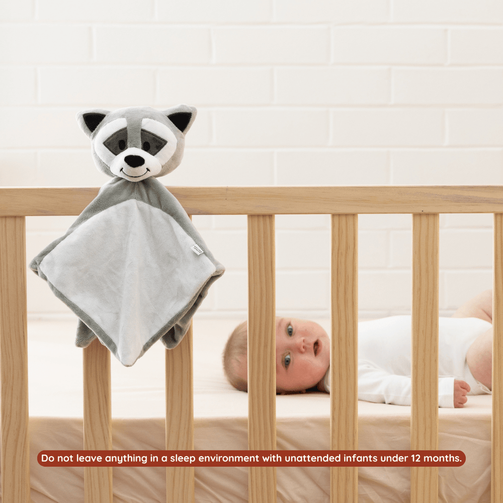 
                      
                        Sleep Toy - Bandit The Raccoon - Riff Raff Baby UK
                      
                    