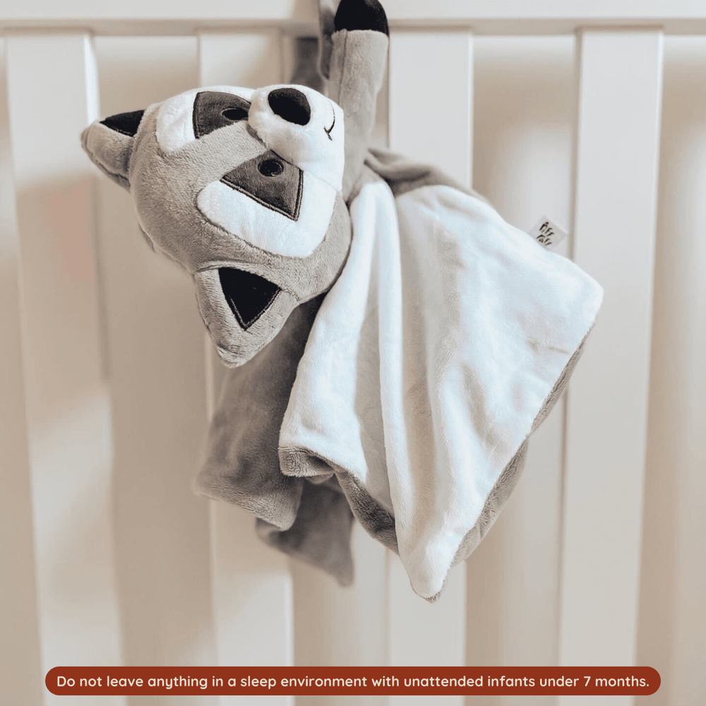 
                      
                        Sleep Toy - Bandit The Raccoon - Riff Raff Baby UK
                      
                    