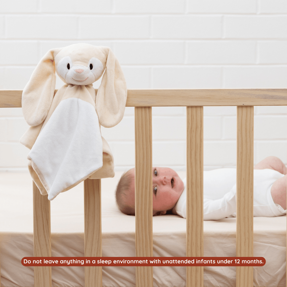 
                      
                        Sleep Toy - Clover The Bunny - Riff Raff Baby UK
                      
                    