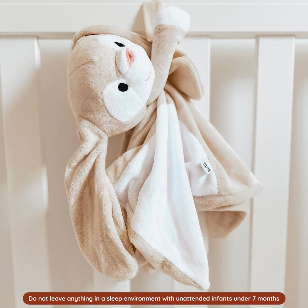 
                      
                        Sleep Toy - Clover The Bunny - Riff Raff Baby UK
                      
                    