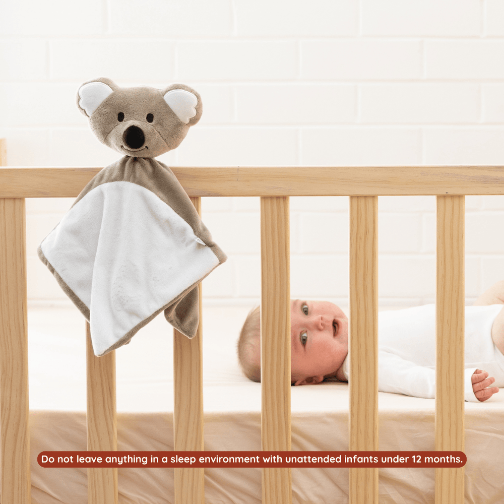 
                      
                        Sleep Toy - Kirra The Koala - Riff Raff Baby UK
                      
                    