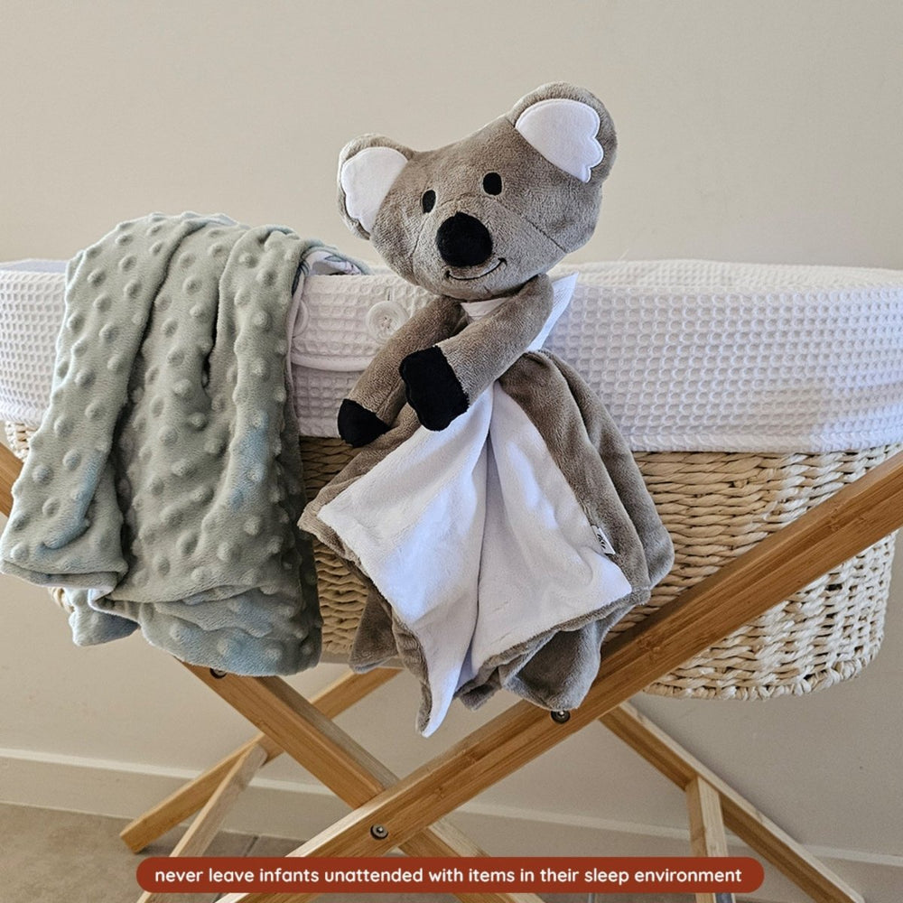
                      
                        Sleep Toy - Kirra The Koala - Riff Raff Baby UK
                      
                    